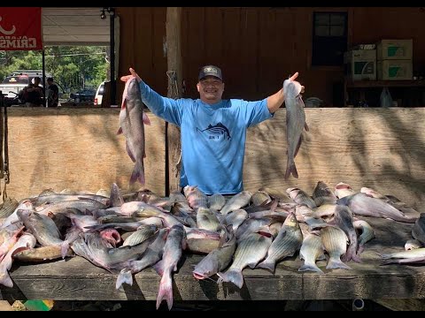 Hmong GA Phooj Ywg  8th Annual fishing Tournament  April 27-2019  # 2