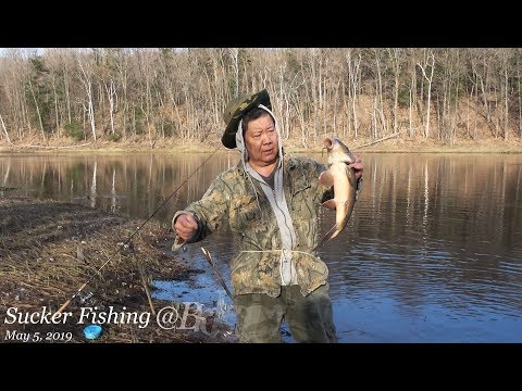 Nuv Ntses Meskas Teb / Hmong Fishing