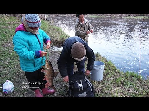 Hmong Sucker Fishing / Hmoob Nuv Ntses @ Rib Falls