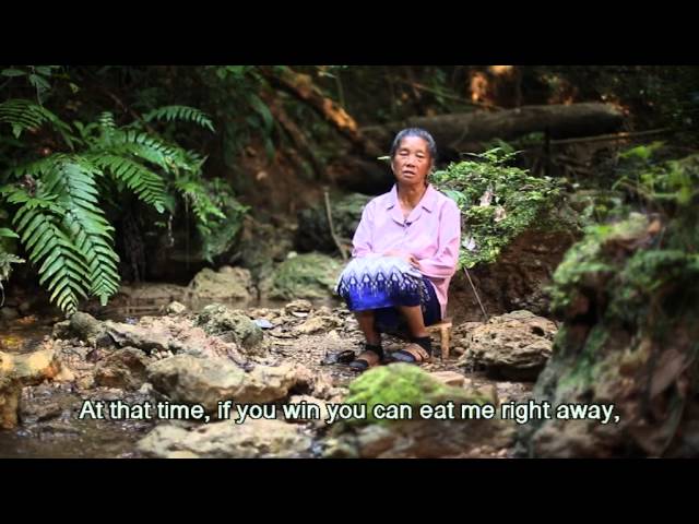 How the Tiger Became Black and Yellow – A Hmong Folktale (as told by Vah Lao)