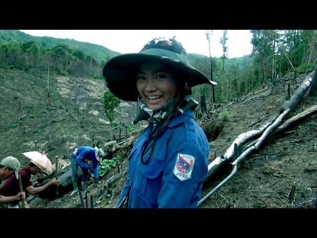 Hmoob Lub Neej Khawb Taub Haus 6/11/2019