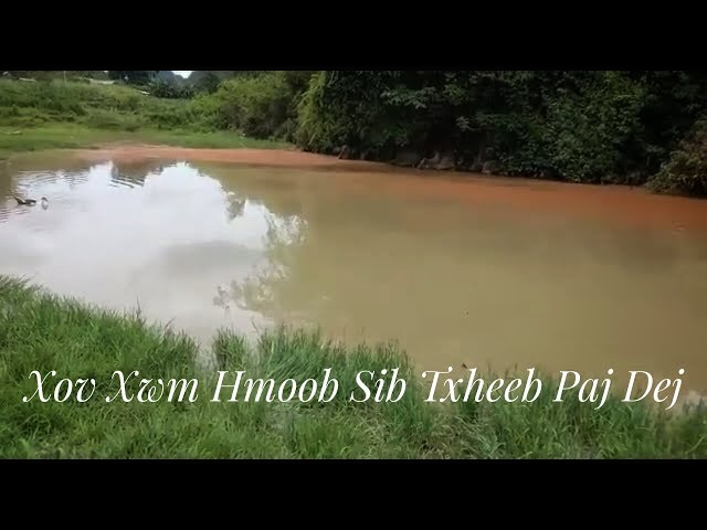 Xov Xwm Hmoob Sib Ua Plaub Sib Txheeb Pa Dej Tso Ntse Haib Kawg li 23/6/2019