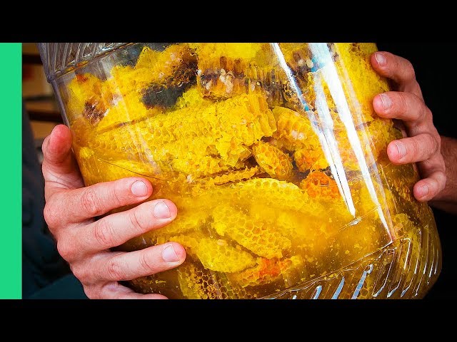 Undiscovered Mountain food in Northern Vietnam (Hmong people in Dong Van)