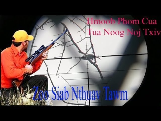 Hmong Hunting, Hmoob Phom Cua TUA NQUAB, NOOG NOJ TXIV NTOO Nyob Plog Teb