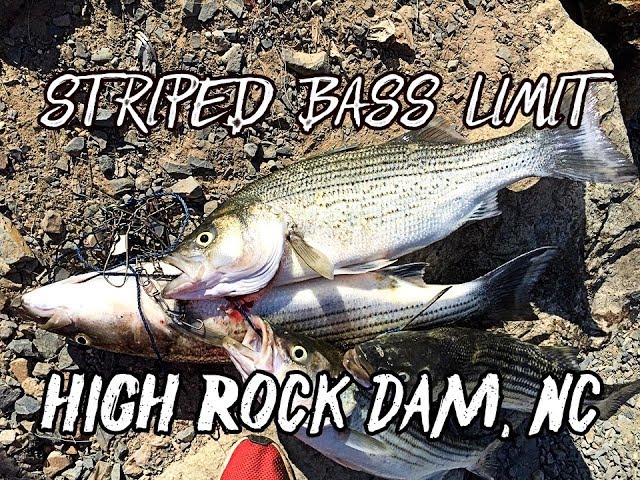 HIGH ROCK DAM STRIPED BASS STRIPER FISHING HMONG
