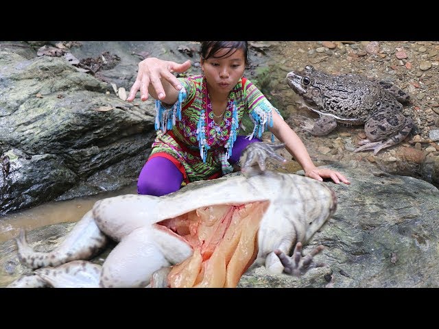 Hmong’s survival skills – Catch and bake the delicious frog meat – Catch Big a frog