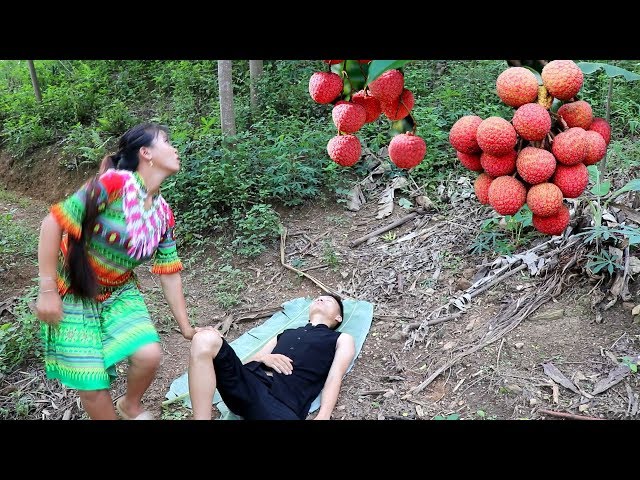 Survival Skills hmong – Primitive life finding fruit for food – Delicious fruit eating