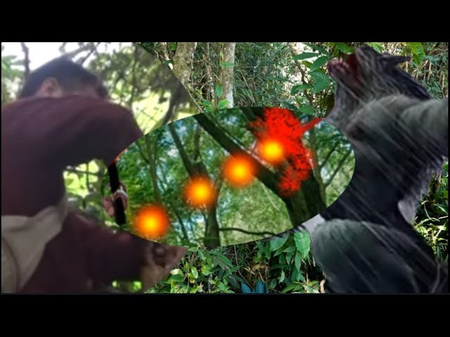 Hmoob xuas khawv koob lij xeeb tua phim nyuj vais txaus ntxhai heev/2019/09/9.