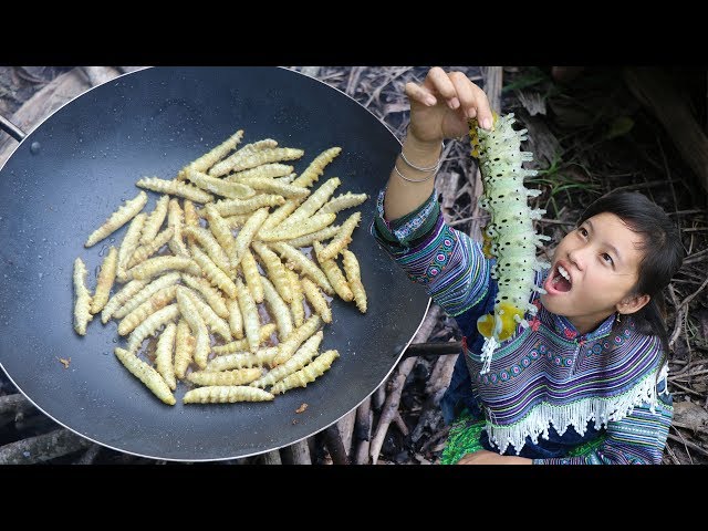 survival skills hmong - Threatened by silkworms - Delicious cooking with silkworms