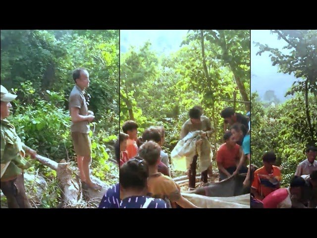 xov xwm 4 tug hmoob yawm yij yawm dab mus khawb kub tau tag sim neej 24/9/2019