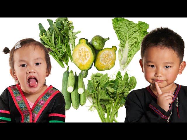 Learn vegetables for kids (educational), Hmong kids kawm txog Zaub & Taub