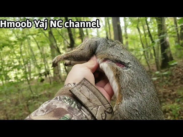 Hmoob Yaj North Carolina tua nas 10/2019