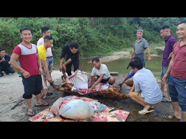 cận cảnh M.Ổ TRÂU ĐÁM CƯỚI NGƯỜI H’MÔNG | Hmoob Wedding | Trình Tường TV