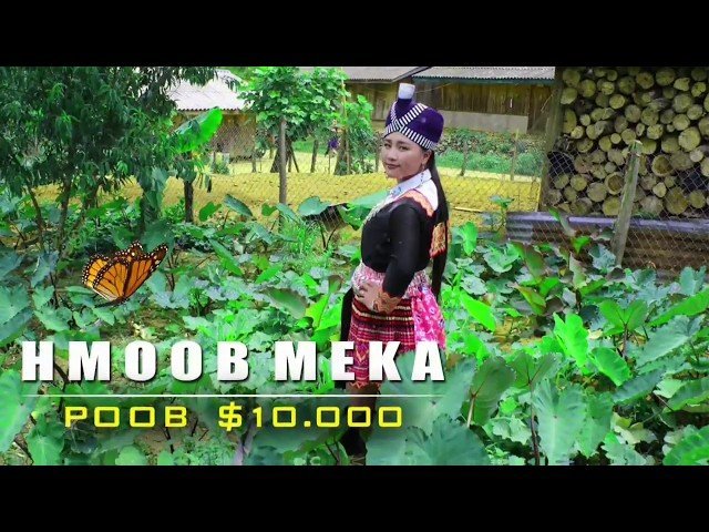 Hmoob Meka Poob $10,000 Rau Nkauj Hmoob Luam Phab Npa 11/23/2019