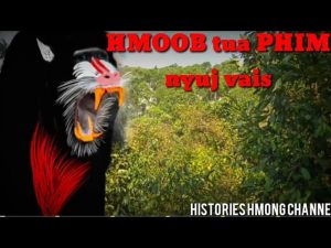 Hmong tua phim nyuj vais.2/2/2020