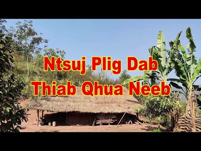 Ntsuj Plig Dab Qhua Neeb (Scary Story)