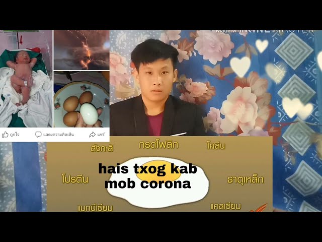Xov xwm tshiab: hmoob raug haiv neeg suav dag yuav qes los hau noj tiv thaiv tau kab mob corona