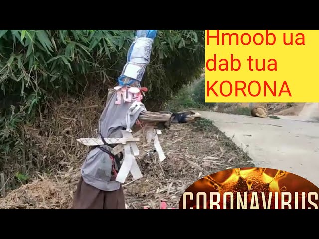 Hmoob ua Ntaj & Phom tua KORONA