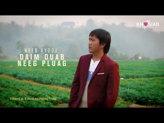 Daim Duab Neeg Pluag – Neeb Xyooj (Official Video) Nkauj Hmoob Tawm Tshiab 2020
