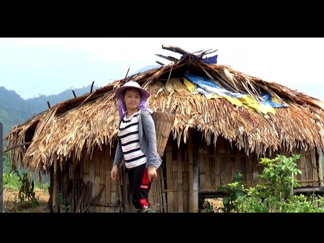 Coj nej mu saib hmoob tej qub teb nplej kho siab heev