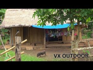 Travel to Sayabouny, Laos Hmong Village - Ncig Teb Chaws 2020 Continue part 2