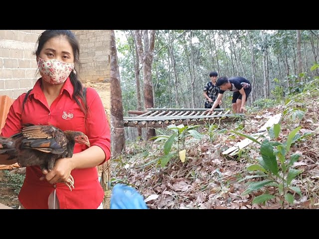 mus saib dab laug thiab tub lawv nyob 14 hnub tau txom nyem kawg