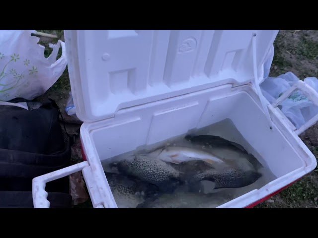Hmong Sacramento fishing (crappie at Indian lake 4/11/2020)
