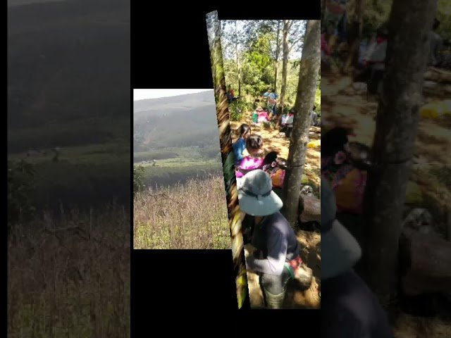Kho kho lub siab luaj li OS hmoob txojj siav twb yuav tu noj tsi taug mov li os