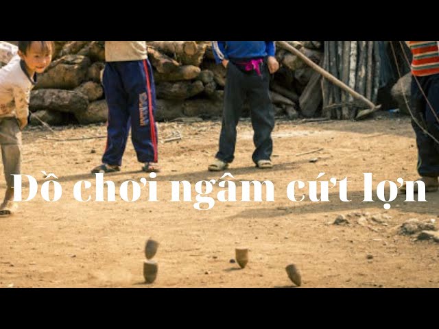 Cù xoay ngâm cứt lợn của trẻ con người Hmong /Special toys of the Hmong people
