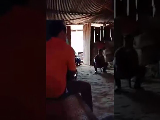 Hmoob nplog laij cov ntseeg tawm hnub no. xov xwm kub