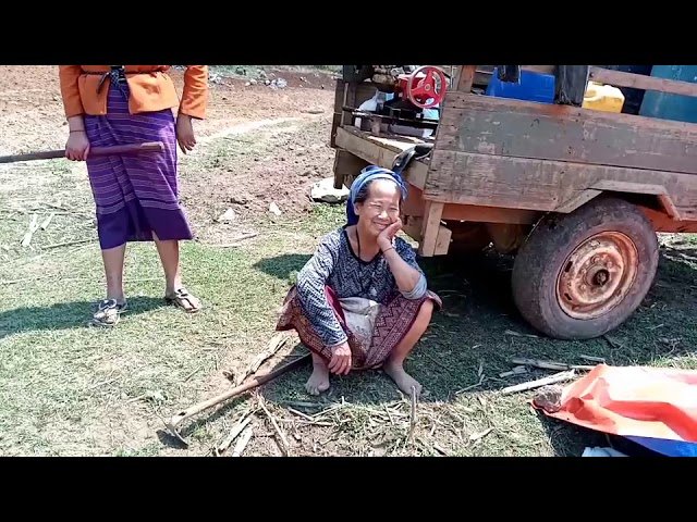 coj nej mu sai Hmong cog pob kws naw ( we’re going to show you the Hmong growing  corn )