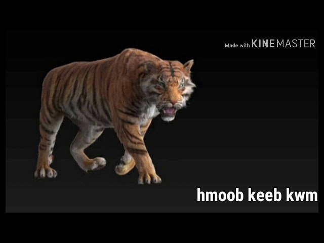 Nyiaj thoob tua tsov ntu 1 (Hmoob keeb kwm)