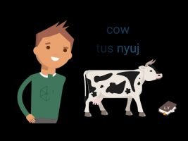 Learn Hmong 101 - part.1 (Vehicles, things around the house, and animals)