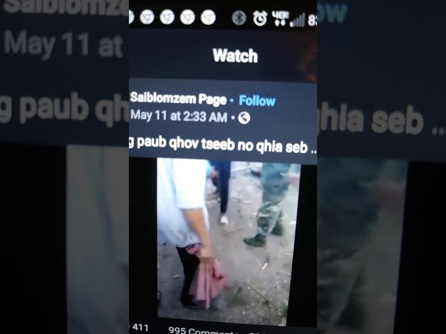 Bee Moua ghiav txog Hmoob nyab laj cov dev bua cai
