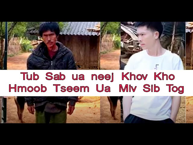 Hmoob USA  Nyab Laj Sib Twv Ua Plaub 2020