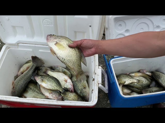 Hmong Sacramento fishing (East park Reservoir 5/15/2020)