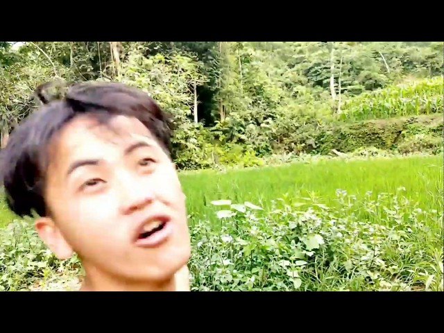 Phim hmoob hài kinh dị 2020+2021 ( CIF ) ( quản cáo )