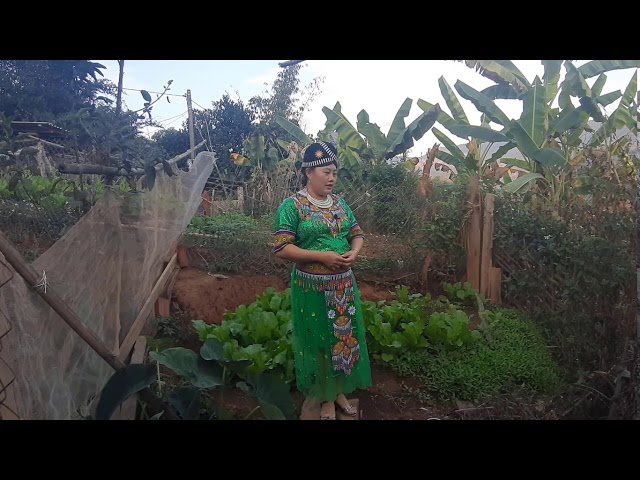 lug txaj hmoob leeg 31