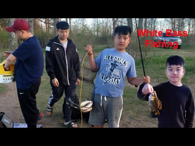 Hmong wisconsin white bass fishing/mus nuv ntse dawb