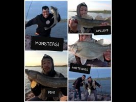 South Dakota Shore Fishing Frenzy! White Bass-Walleye-Pike 4 shots! Hmong Coj Nej Mus Nuv Ntses 2020