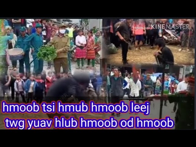 Xov xwm hai rau hmoob kom saib tub sab nyiag zaub ua kev kawm  hmoob rov  lo sib hlub hmoob