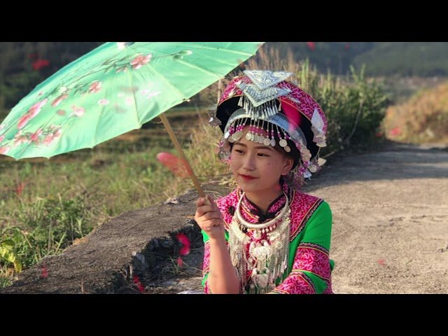 Kwv txhiaj Hmoob ntsuab lub neej tu siab 伤心的山歌 我放弃