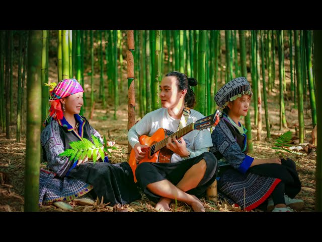 Chuyện Tình cô gái Hmong và chàng nghệ sĩ đến từ Hà Nội trong rừng Trúc – Mù Cang Chải- đang HOT