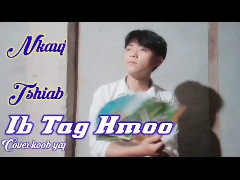 Ib Tag Hmoo Tsis Tsaug Zog Cover Koob Yaj | Hmoob Ts