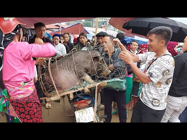 Ncig tab laj khw hmoob Tuj Peeb ua lag luam txhua yam 6/15/2020