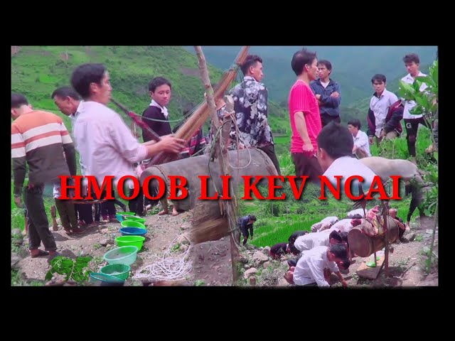 Hmoob li kev ncai tej hauj lwm muaj neeg tuag nyob nyab laj teb ntuj qub qab