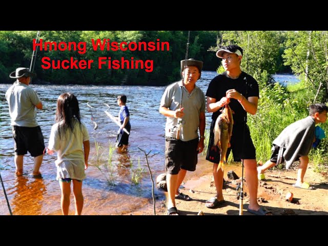 Hmong WI Sucker Fishing/Nuv Ntses Sucker Nyob Meskas 6/27/20