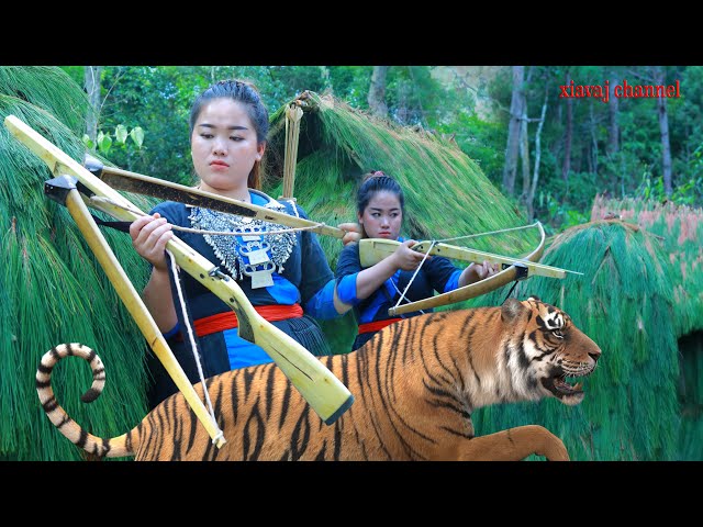 shoot a tiger by hmong primitive bow siv rab hneev txawv txawv tua tsov loj kawg