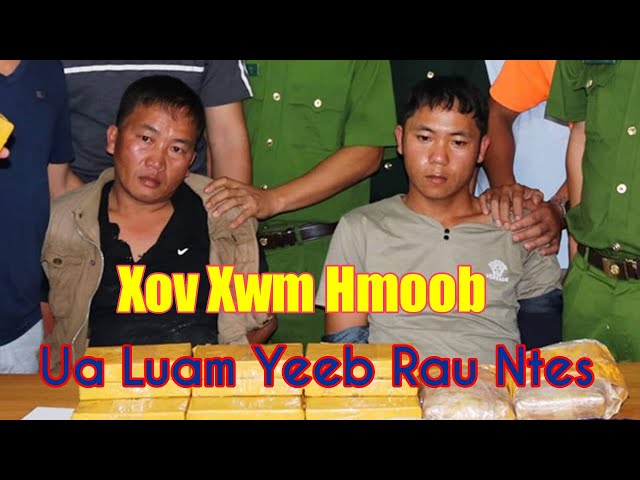 Xov Xwm Tshiab | Hmoob Ua Luam Yeeb Raug Tub Ceev Xwm Ntes Tau – Xov Xwm Hmoob Nyab Laj