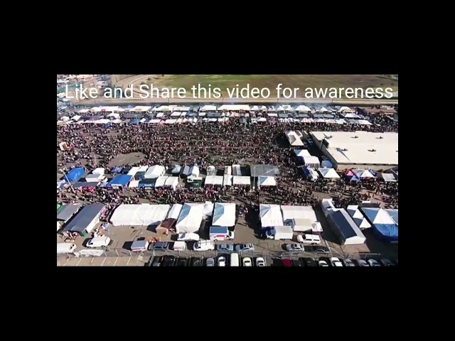 If Fresno Hmong New Year 2021 Still Happens Covid-19